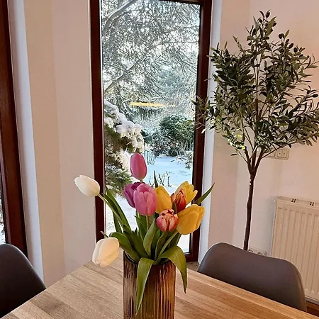 Casa vacanze Haus Altburgstaedtel *