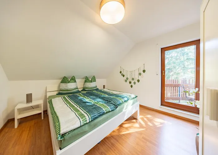 Haus Altburgstaedtel Drezda